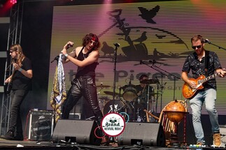 Zondag 31 mei 2026 - Local Heroes Festival - Openluchttheater Brunssum - Aanvang 13.30 u  - Zit/Sta Concert